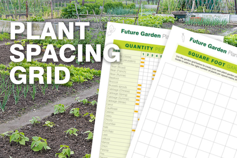 Δωρεάν Οδηγός απόστασης Φυτών Λήψη από το Future Garden