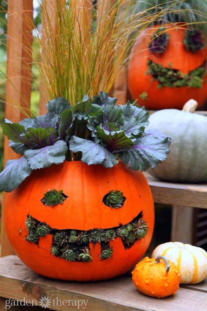 Πώς να επιλέξετε μια κολοκύθα Jack O Lantern